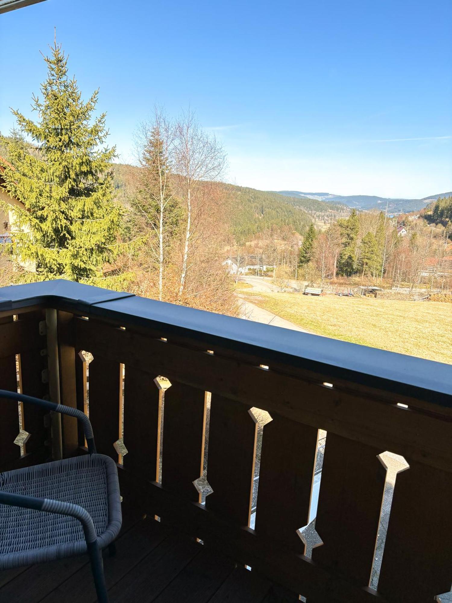 Schwarzwald-Chalet Feldberg Фелдберг Екстериор снимка