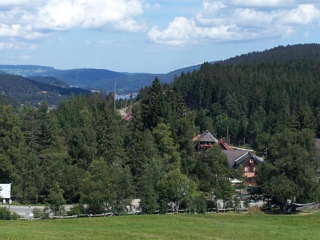 Schwarzwald-Chalet Feldberg Фелдберг Екстериор снимка