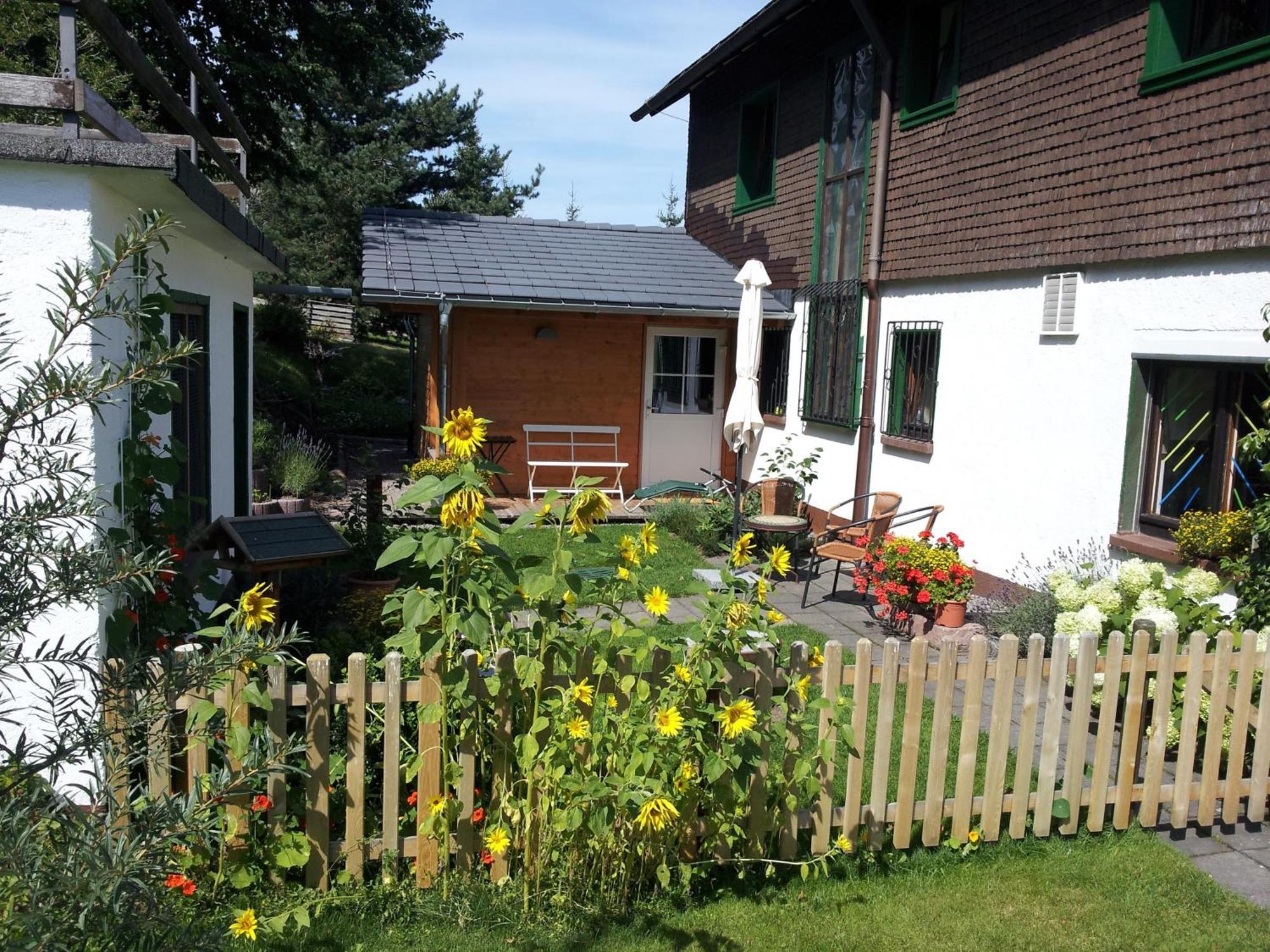 Schwarzwald-Chalet Feldberg Фелдберг Екстериор снимка